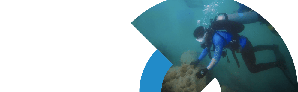 Coral Relocation Hero Banner