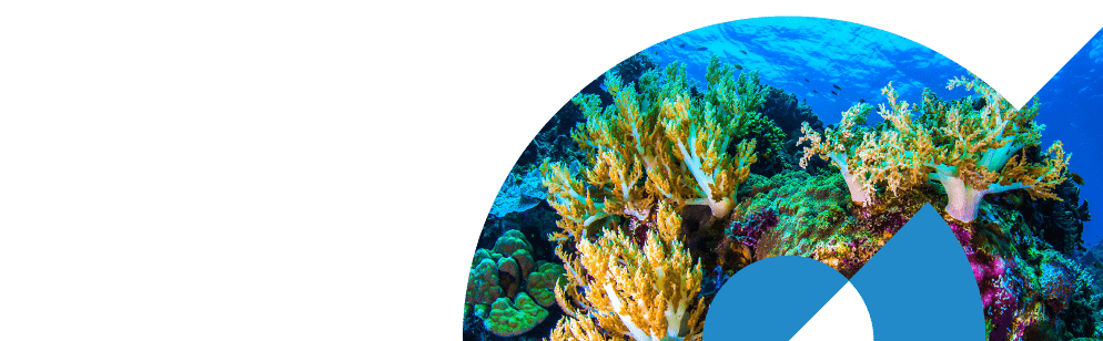 Sustainability-data-dektop-banner