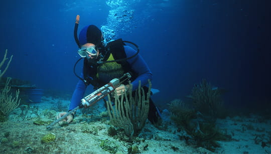 Coral-Reef-Conservation