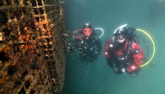 Preserve-Marine-Biodiversity-at-Khalifa-Port