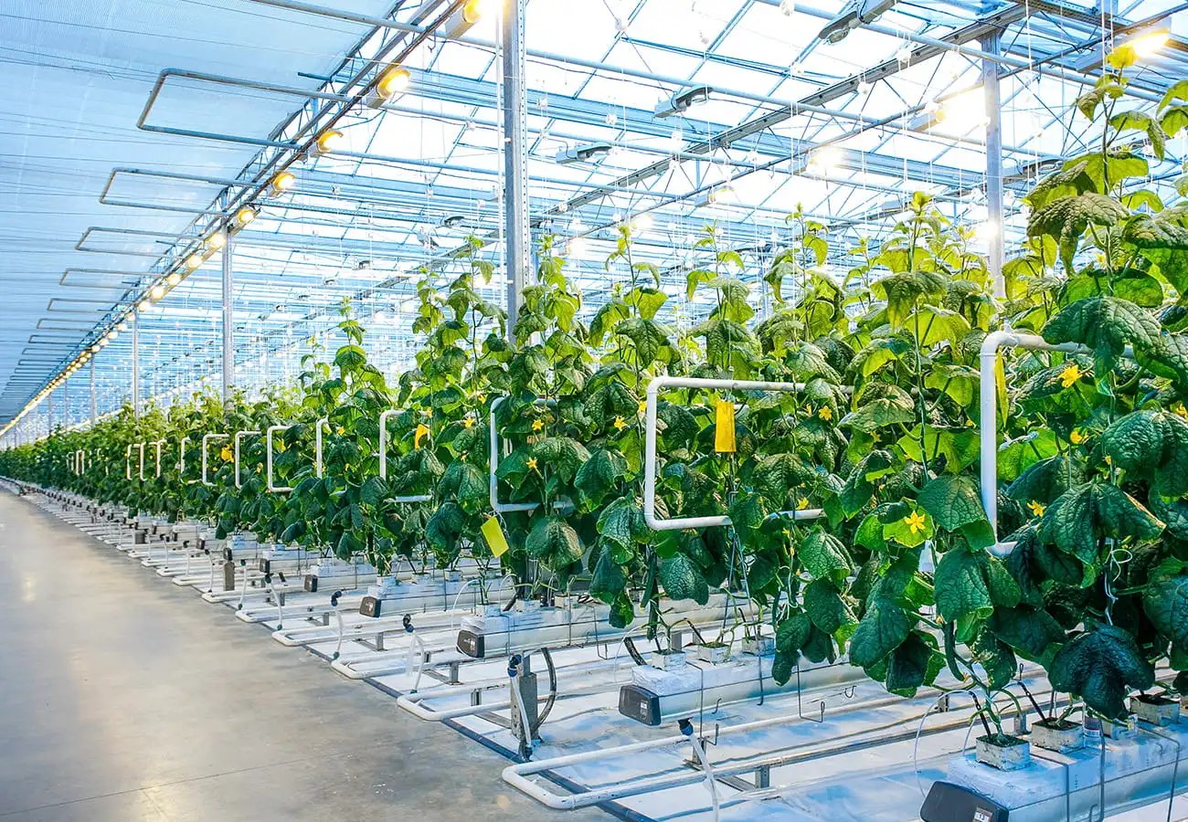 Pollution-free Operating Environment