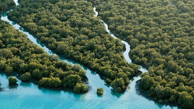 تنمية مستدامة