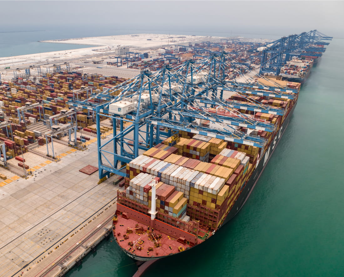 Port & Zone Ecosystem