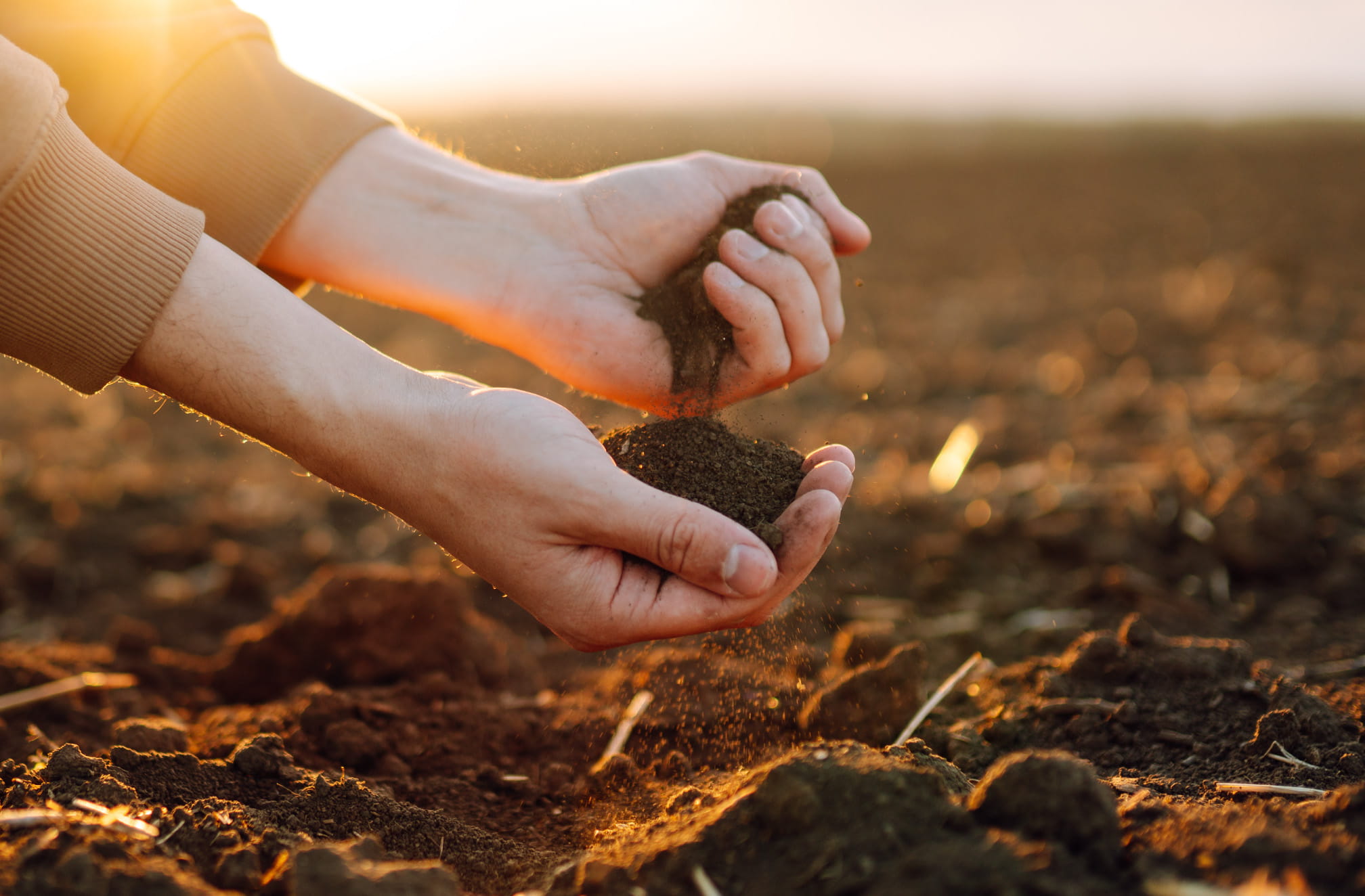 Sustainable Land Use