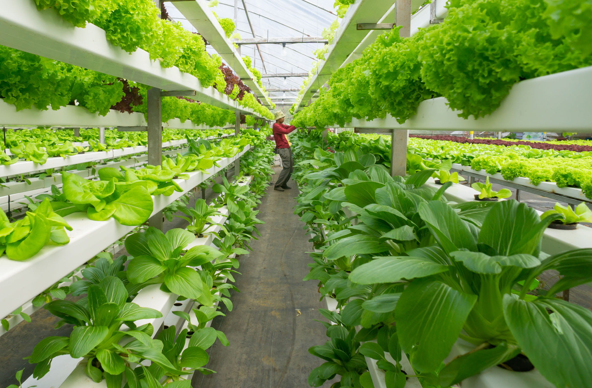 Environmental Compliance Standards