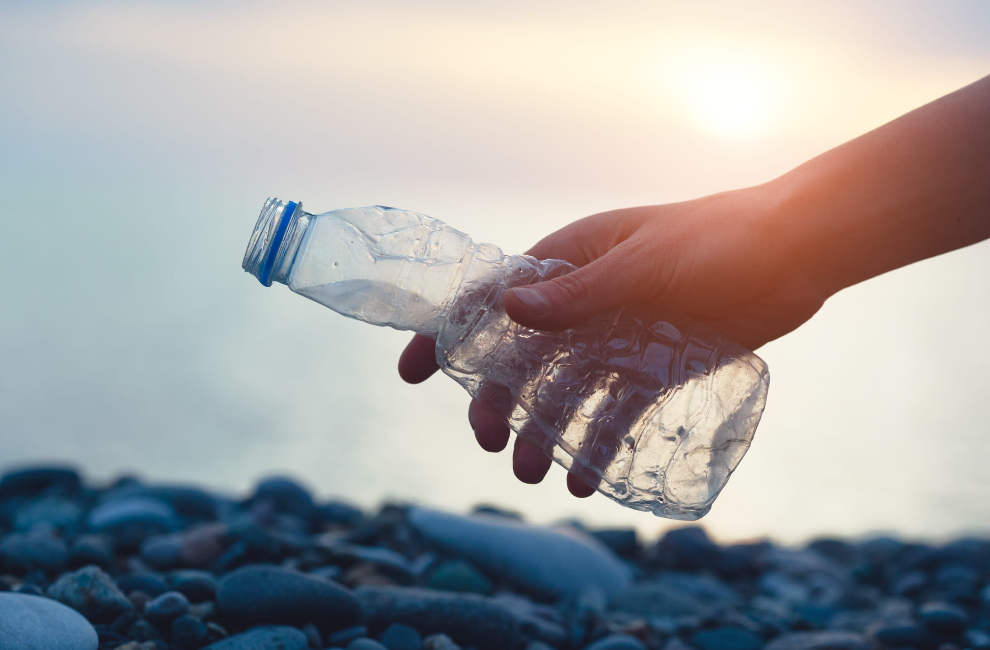 Waste Reduction Programs