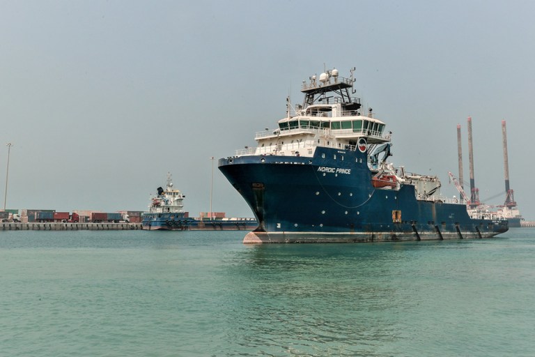 safeen-surveyor
