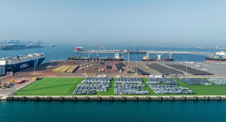 ro-ro-vehicle-volumes-at-autoterminal-khalifa-port-910×9999,q=85