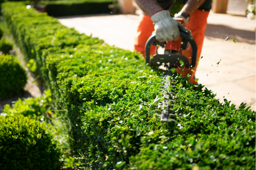 Hard and Soft Landscaping Service