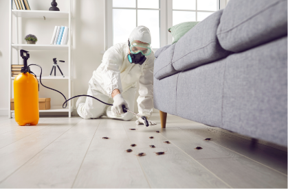 Pest Control